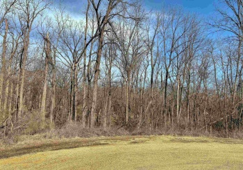 19-56 Woodland, LAKE CARROLL, Illinois 61046, ,Land,For Sale,Woodland,202501045
