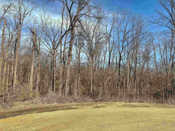 19-56 Woodland, LAKE CARROLL, Illinois 61046, ,Land,For Sale,Woodland,202501045