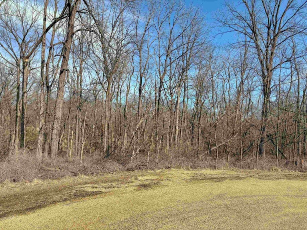 19-56 Woodland, LAKE CARROLL, Illinois 61046, ,Land,For Sale,Woodland,202501045