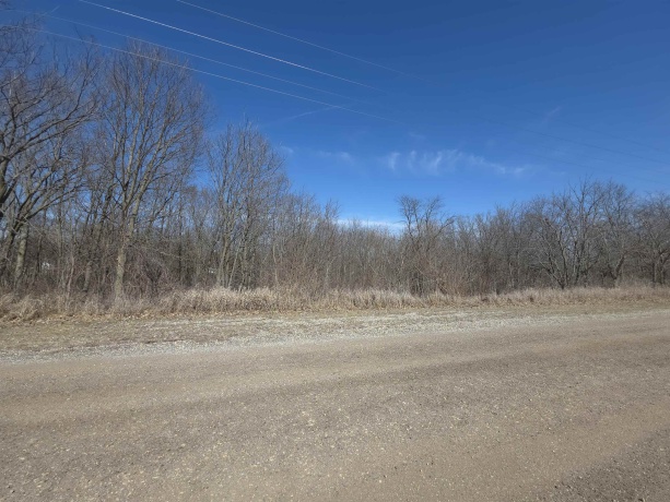 4XX 11th, PECATONICA, Illinois 61063, ,Land,For Sale,11th,202501105