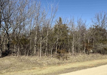 23 High Ridge, GALENA, Illinois 61036, ,Land,For Sale,High Ridge,202501128
