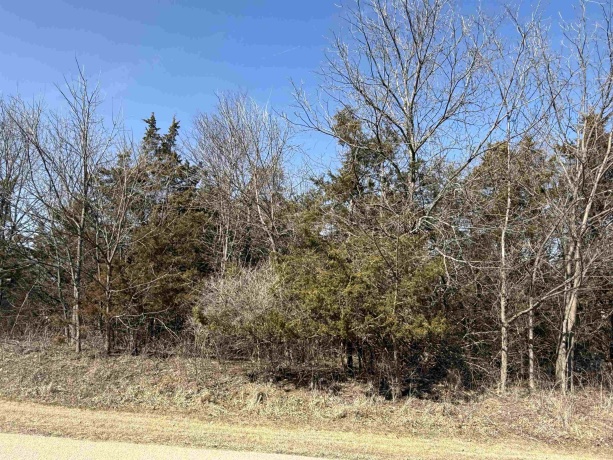 23 High Ridge, GALENA, Illinois 61036, ,Land,For Sale,High Ridge,202501128