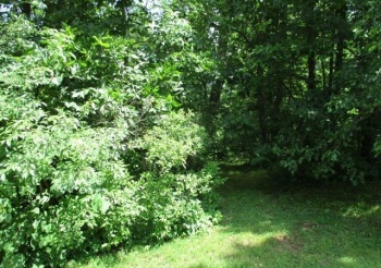 597 knollwood, LAKE SUMMERSET, Illinois 61019, ,Land,For Sale,knollwood,202501373