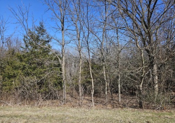 1 Lake Ridge Road, GALENA, Illinois 61036, ,Land,For Sale,Lake Ridge Road,202501534