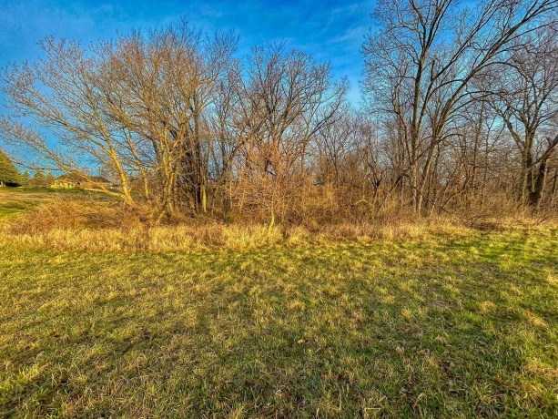 23-122 Lake Carroll, LAKE CARROLL, Illinois 61046, ,Land,For Sale,Lake Carroll,202501594