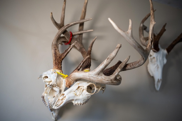 10385 Rock City, GERMAN VALLEY, Illinois 61039, 4 Bedrooms Bedrooms, ,1 BathroomBathrooms,House,For Sale,Rock City,202501632