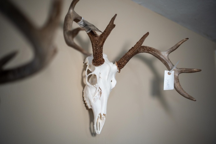 10385 Rock City, GERMAN VALLEY, Illinois 61039, 4 Bedrooms Bedrooms, ,1 BathroomBathrooms,House,For Sale,Rock City,202501632