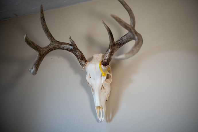 10385 Rock City, GERMAN VALLEY, Illinois 61039, 4 Bedrooms Bedrooms, ,1 BathroomBathrooms,House,For Sale,Rock City,202501632