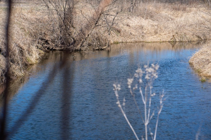 10385 Rock City, GERMAN VALLEY, Illinois 61039, 4 Bedrooms Bedrooms, ,1 BathroomBathrooms,House,For Sale,Rock City,202501632