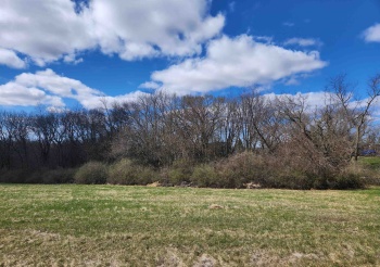 25-60 Cottage Hill, LAKE CARROLL, Illinois 61046, ,Land,For Sale,Cottage Hill,202501667