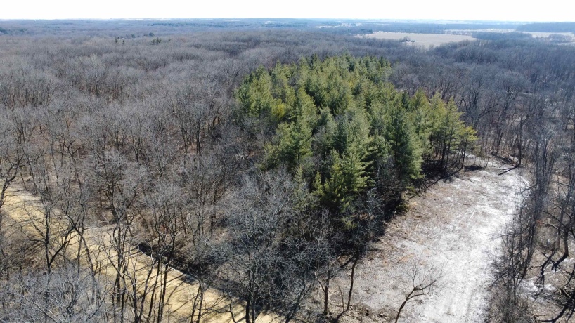 25 Ac +/- Penn Corner, OREGON, Illinois 61061, ,Land,For Sale,Penn Corner,202501768