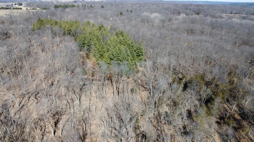25 Ac +/- Penn Corner, OREGON, Illinois 61061, ,Land,For Sale,Penn Corner,202501768
