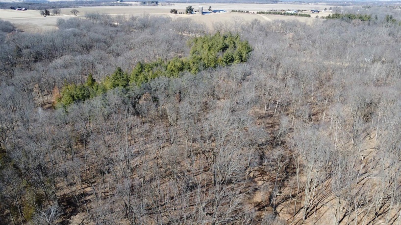 25 Ac +/- Penn Corner, OREGON, Illinois 61061, ,Land,For Sale,Penn Corner,202501768