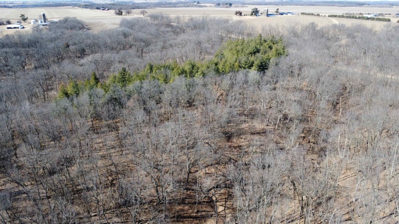25 Ac +/- Penn Corner, OREGON, Illinois 61061, ,Land,For Sale,Penn Corner,202501768