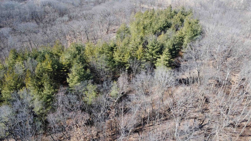 25 Ac +/- Penn Corner, OREGON, Illinois 61061, ,Land,For Sale,Penn Corner,202501768