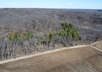 50 Ac +/- Penn Corner, OREGON, Illinois 61061, ,Land,For Sale,Penn Corner,202501769
