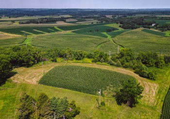 TBD Krohmer, ELIZABETH, Illinois 61028, ,Land,For Sale,Krohmer,202501780