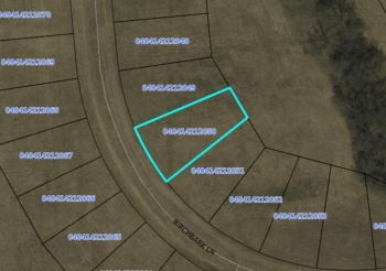 12-50 Birchbark, LAKE CARROLL, Illinois 61046, ,Land,For Sale,Birchbark,202501845