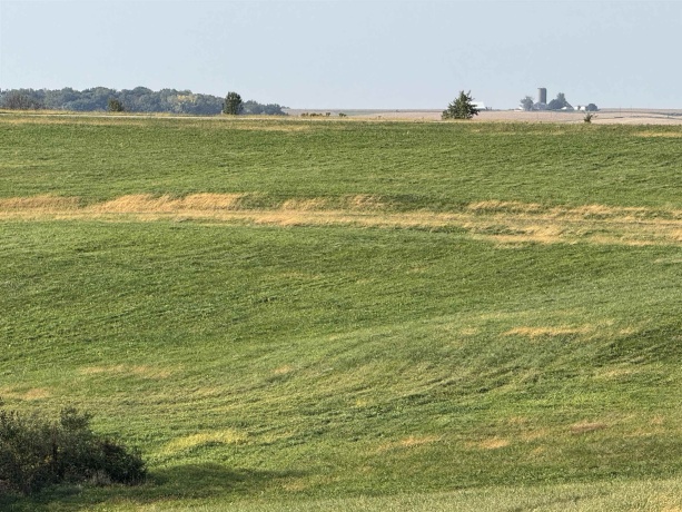 12-50 Birchbark, LAKE CARROLL, Illinois 61046, ,Land,For Sale,Birchbark,202501845