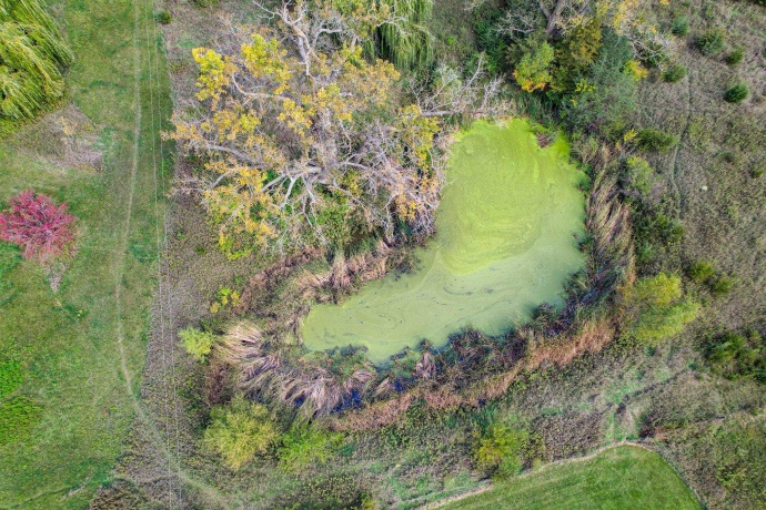 2501 US Highway 20 W, ELIZABETH, Illinois 61028, ,Land,For Sale,US Highway 20 W,202501862