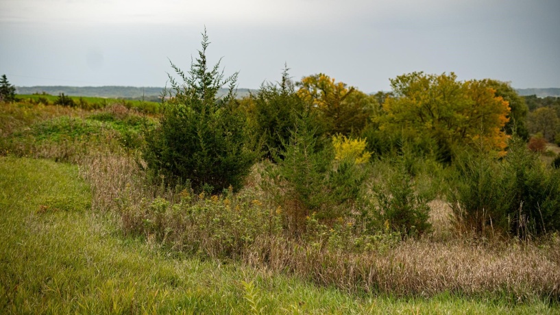 2501 US Highway 20 W, ELIZABETH, Illinois 61028, ,Land,For Sale,US Highway 20 W,202501862