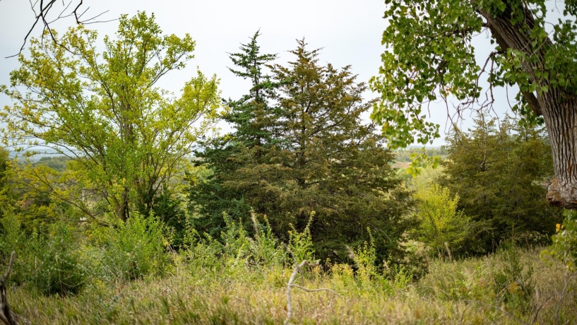 2501 US Highway 20 W, ELIZABETH, Illinois 61028, ,Land,For Sale,US Highway 20 W,202501862