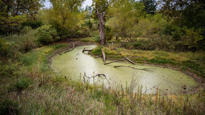 2501 US Highway 20 W, ELIZABETH, Illinois 61028, ,Land,For Sale,US Highway 20 W,202501862