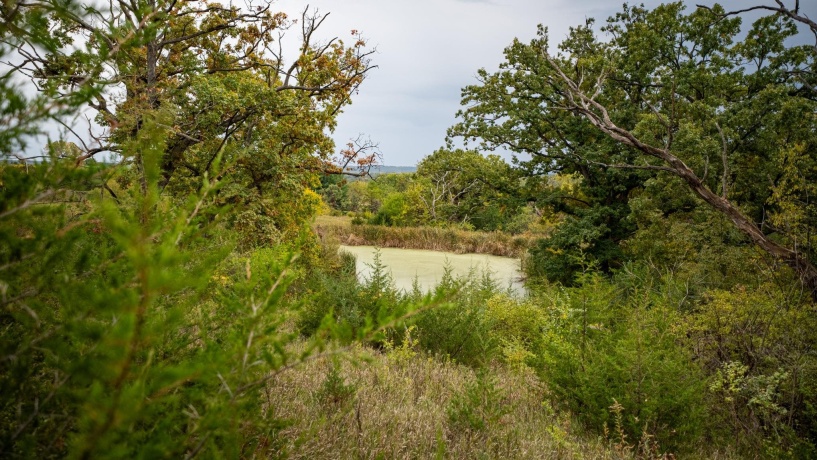 2501 US Highway 20 W, ELIZABETH, Illinois 61028, ,Land,For Sale,US Highway 20 W,202501862