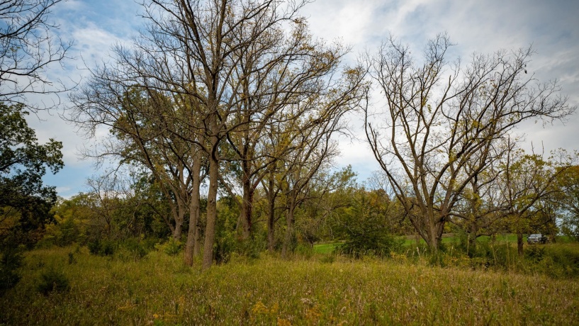 2501 US Highway 20 W, ELIZABETH, Illinois 61028, ,Land,For Sale,US Highway 20 W,202501862