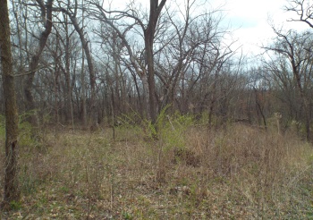 TBD Dog Hollow, WIOTA, Wisconsin 53504, ,Land,For Sale,Dog Hollow,202501980