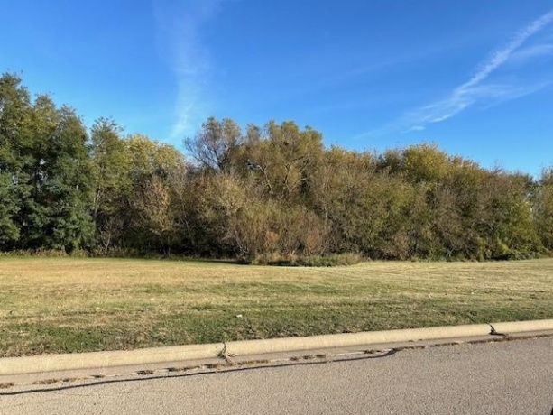 1051 SHIMER, FREEPORT, Illinois 61032, ,Land,For Sale,SHIMER,202405960