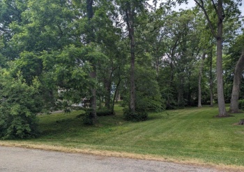 1310 CHADBOURNE, LAKE SUMMERSET, Illinois 61019, ,Land,For Sale,CHADBOURNE,202502014