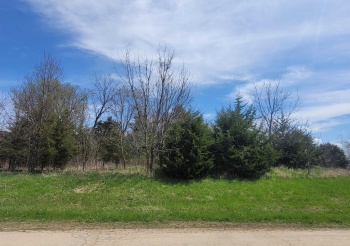1 Ironwood, GALENA, Illinois 61036, ,Land,For Sale,Ironwood,202502029