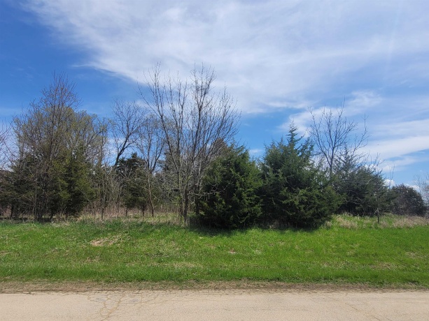 1 Ironwood, GALENA, Illinois 61036, ,Land,For Sale,Ironwood,202502029