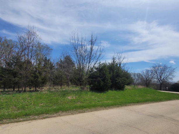 1 Ironwood, GALENA, Illinois 61036, ,Land,For Sale,Ironwood,202502029