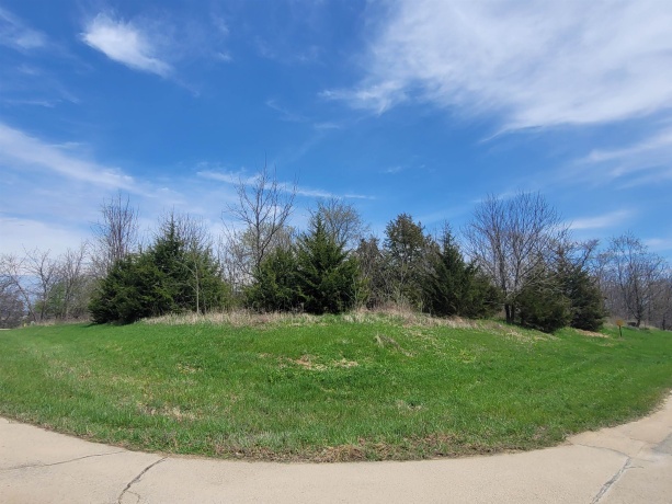 1 Ironwood, GALENA, Illinois 61036, ,Land,For Sale,Ironwood,202502029