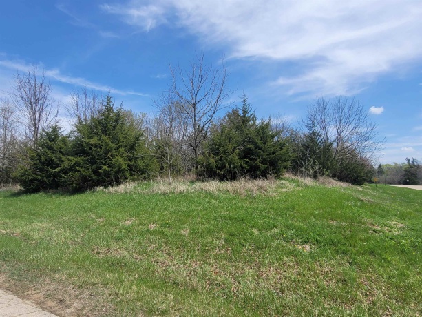 1 Ironwood, GALENA, Illinois 61036, ,Land,For Sale,Ironwood,202502029