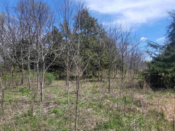 1 Ironwood, GALENA, Illinois 61036, ,Land,For Sale,Ironwood,202502029