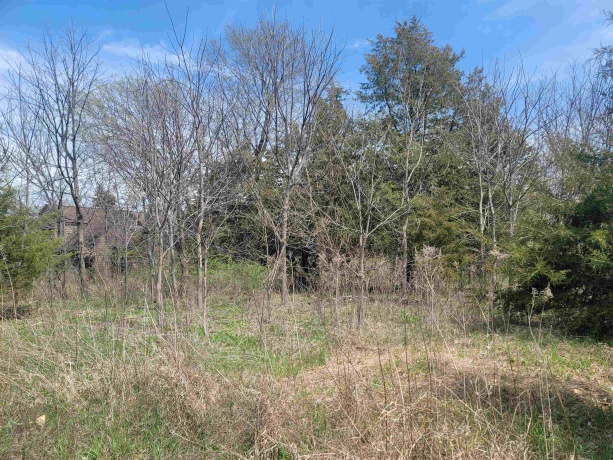 1 Ironwood, GALENA, Illinois 61036, ,Land,For Sale,Ironwood,202502029