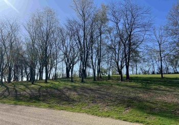 Lot 2 Galena Golf View Estates Phase II, GALENA, Illinois 61036, ,Land,For Sale,Galena Golf View Estates Phase II,202502137