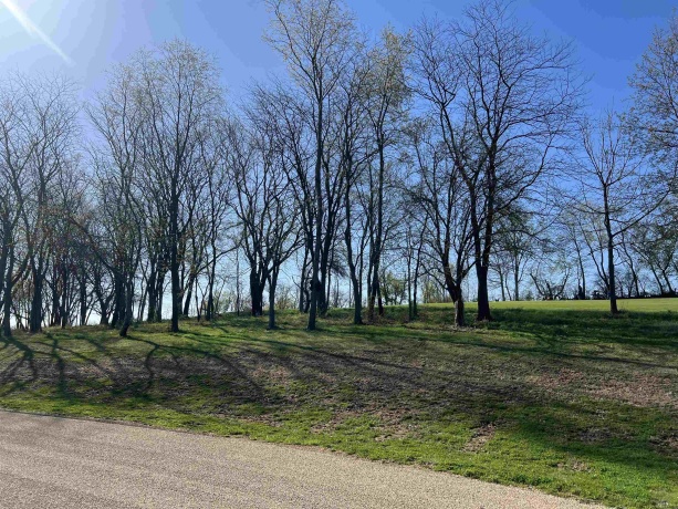 Lot 2 Galena Golf View Estates Phase II, GALENA, Illinois 61036, ,Land,For Sale,Galena Golf View Estates Phase II,202502137