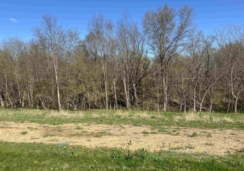 Lot 8 Galena Golf View Estates - Phase II, GALENA, Illinois 61036, ,Land,For Sale,Galena Golf View Estates - Phase II,202502138