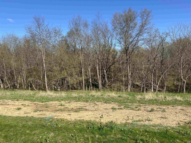 Lot 8 Galena Golf View Estates - Phase II, GALENA, Illinois 61036, ,Land,For Sale,Galena Golf View Estates - Phase II,202502138