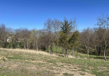 Lot 9 Galena Golf View Estates - Phase II, GALENA, Illinois 61036, ,Land,For Sale,Galena Golf View Estates - Phase II,202502139