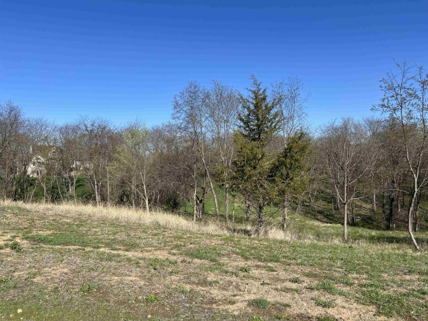 Lot 9 Galena Golf View Estates - Phase II, GALENA, Illinois 61036, ,Land,For Sale,Galena Golf View Estates - Phase II,202502139
