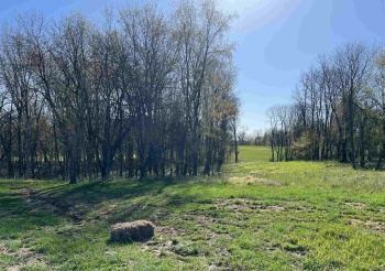 Lot 5 Galena Golf View Estates - Phase II, GALENA, Illinois 61036, ,Land,For Sale,Galena Golf View Estates - Phase II,202502140