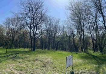 Lot 10 Galena Golf View Estates - Phase II, GALENA, Illinois 61036, ,Land,For Sale,Galena Golf View Estates - Phase II,202502141