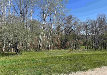 Lot 16 Galena Golf View Estates Phase II, GALENA, Illinois 61036, ,Land,For Sale,Galena Golf View Estates Phase II,202502143