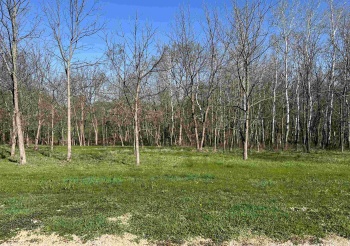 Lot 17 Galena Golf View Estates - Phase II, GALENA, Illinois 61036, ,Land,For Sale,Galena Golf View Estates - Phase II,202502144