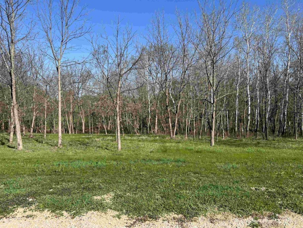 Lot 17 Galena Golf View Estates - Phase II, GALENA, Illinois 61036, ,Land,For Sale,Galena Golf View Estates - Phase II,202502144